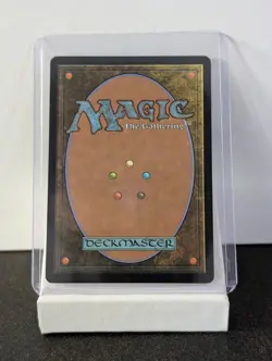 NM Sapling of Colfenor Eventide Regular - Image 2