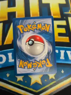 Pokemon Aquapolis E-Card Wooper 66/147 Near Mint NM - Image 2