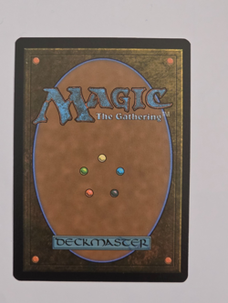 Mistrise Village - R0261 Reg - Tarkir: Dragonstorm - Magic the Gathering - NM - Image 2