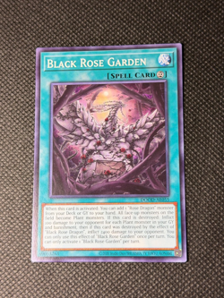 YUGIOH Asian-English Black Rose Garden DOOD-AE055 Common - Image 1