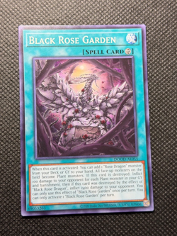YUGIOH Asian-English Black Rose Garden DOOD-AE055 Common - Image 2