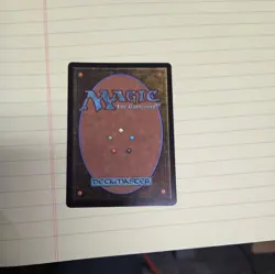 FOIL THE CABBAGE MERCHANT (EXTENDED ART) Avatar: The Last Airbender Eternal MTG - Image 2