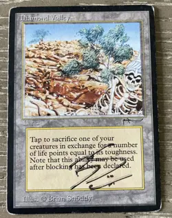 MTG Arabian Nights Diamond Valley HP Signed Brian Snoddy Magic Vintage - Image 1