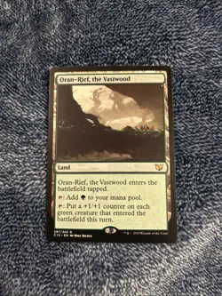 Oran-Rief, the Vastwood - Image 1
