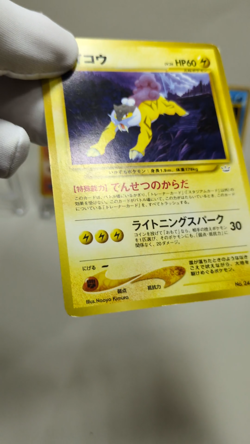 Suicune Entei Raikou No. 243 244 245 Neo Premium Promo Japanese Pokemon Card - Image 2