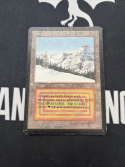 International Edition Taiga x1 Magic MTG - Image 1