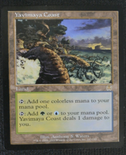 Yavimaya Coast Apocalypse Regular - Image 1