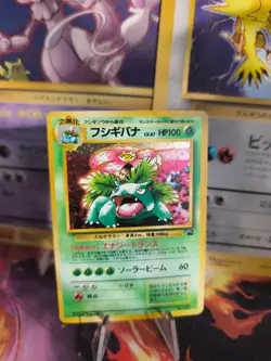 Pokemon Karte Card Venusaur Bisaflor Bulbasaur Intro Pack Holo Wotc japanese NM- - Image 1