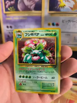 Pokemon Karte Card Venusaur Bisaflor Bulbasaur Intro Pack Holo Wotc japanese NM- - Image 2