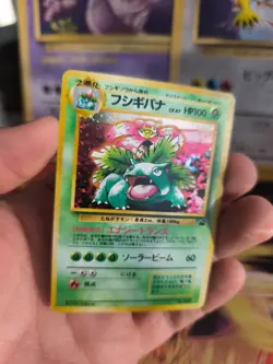 Pokemon Karte Card Venusaur Bisaflor Bulbasaur Intro Pack Holo Wotc japanese NM- - Image 4