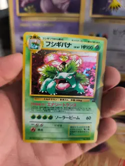 Pokemon Karte Card Venusaur Bisaflor Bulbasaur Intro Pack Holo Wotc japanese NM- - Image 5