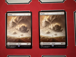 Plains #31 x2 Secret Lair Showdown Regular NM - Image 1