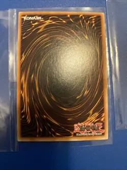 Yu-Gi-Oh Lady's Dragonmaid 1st Edition Ultra Rare BLMM-EN049 NM - Image 5