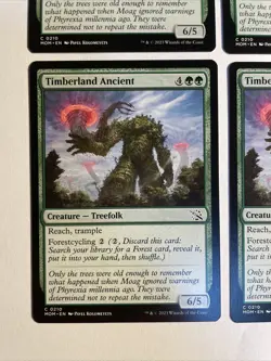 4x Mtg March Of The Machine Timberland Ancient NM/M Magic The Gathering - Image 2
