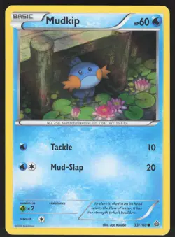 Mudkip 33/160 Holo Promo Pokemon TCG MP - Image 1