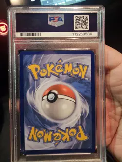 Pokemon Pikachu EX 2016 Red and Blue Collection Black Star Promo, PSA 7 - Image 2