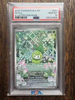Petilil 091/086 PSA 10 Pokemon Scarlet & Violet Black Bolt Illustration Rare - Image 1
