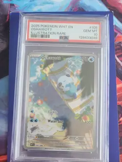 Oshawott Illustration Rare Water Holo SV White Flare #105/086 Pokemon TCG Psa 10 - Image 3