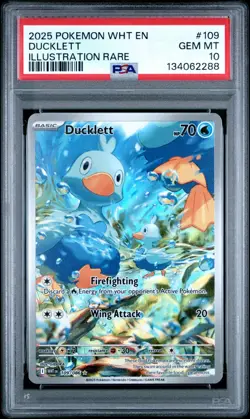 Ducklett Illustration Rare Pokemon Wht En-White Flare 109/086 PSA 10 - Image 1