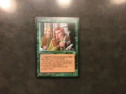 MTG Magic: The Gathering - Ice Age - Fyndhorn Elves LP - Image 1