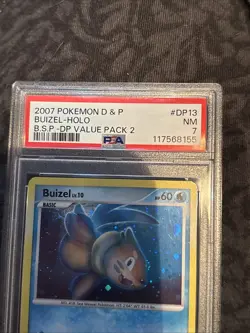 2007 Pokemon Diamond & Pearl Buizel #DP13 Holo PSA 7 NM - Image 5