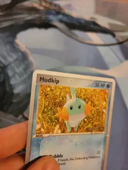 Mudkip 59/109 - 2004 World Championship Decks (WCD) - POKEMON TCG CARD - MP - Image 4