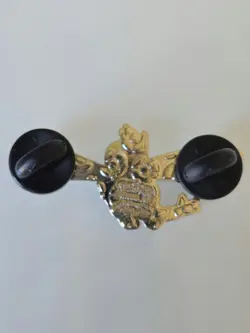 Pokemon Lugia Pin (Crown Zenith Unown & Lugia V Special Collection Box) - NEW - Image 2