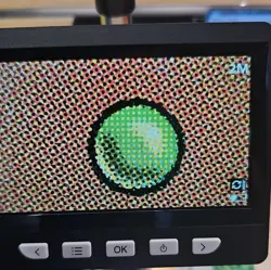 1x Rhystic Study Prophecy Non-Foil - Image 5