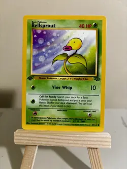 Pokemon - Bellsprout 49/64 - Jungle - 1st Edition - LP(Excellent) - Image 3