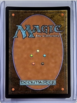 MTG Magic the Gathering SLD Secret Lair Drop Full Text Foil Terramorphic Expanse - Image 2