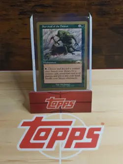 Mtg 1x Gold Border Survival of the Fittest 1998 Brian Selden world Championship - Image 1