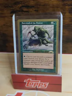 Mtg 1x Gold Border Survival of the Fittest 1998 Brian Selden world Championship - Image 2