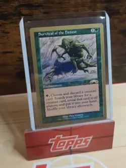 Mtg 1x Gold Border Survival of the Fittest 1998 Brian Selden world Championship - Image 3