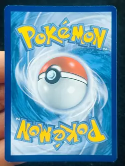 Oshawott SWSH222 - Black Star Promo - Kurumitsu - LP - NM - Pokemon TCG Card - Image 3