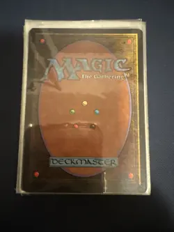 MTG - Magic The Gathering - Land X 78 - Tempest- NP/LN! - Image 3