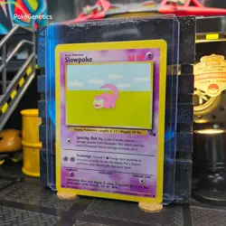 Slowpoke Fossil Pokemon TCG 55/62 Unlimited Common - Image 2