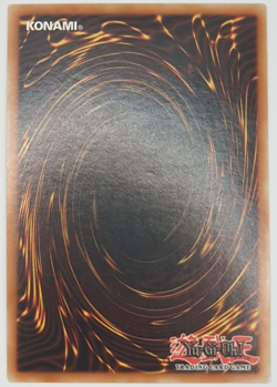 Black Rose Dragon - CT05-EN003 - Secret Rare Yugioh - Image 2