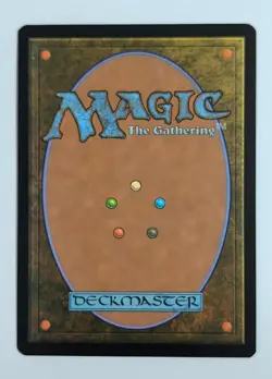 Expedition Map (Rainbow FOIL) 7053 NM Near Mint SLD Secret Lair Drop Magic MTG - Image 2