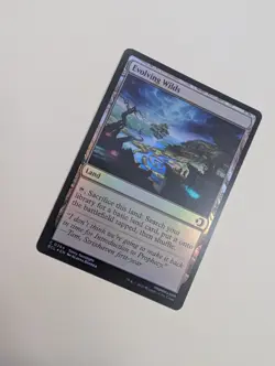 MTG - Evolving Wilds (Foil) - Lorwyn Eclipsed NM/M Condition - Image 2