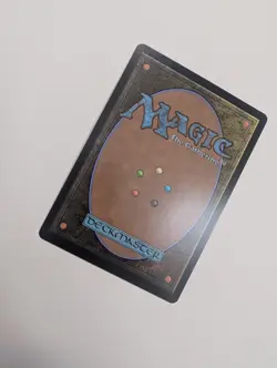 MTG - Evolving Wilds (Foil) - Lorwyn Eclipsed NM/M Condition - Image 3