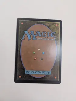 MTG - Evolving Wilds (Foil) - Lorwyn Eclipsed NM/M Condition - Image 4