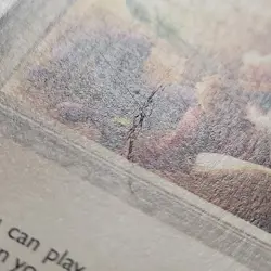 Pokemon Oracle 138/144 World Championships 2004 Regular Light Played *FREE SHIP* - Image 4