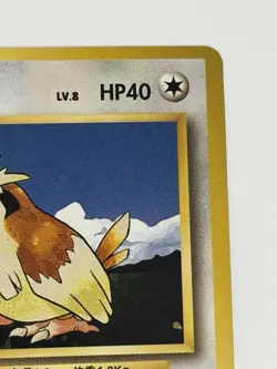 Pidgey No.016 Base Set vintage Old back Japanese Pokemon Card From Japan - Image 3