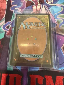 MTG Avatar the Last Airbender The Walls of Ba Sing Se 0329 Regular Borderless NM - Image 2