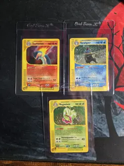Pokemon Expedition 100% complete set all NM/light played/played and all sleeved - Image 4