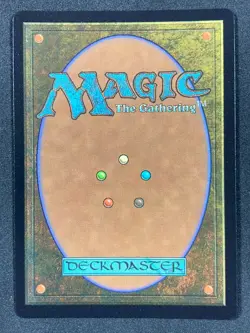 Choco, Seeker of Paradise (Borderless) (Chocobo Track Foil) Final Fantasy MTG NM - Image 2