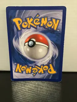 Lucario 3/11 Holo Pokemon Trainer Kit - Image 2