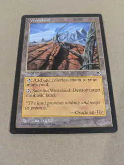 Wasteland - MTG - Tempest - VG/MP - Image 2