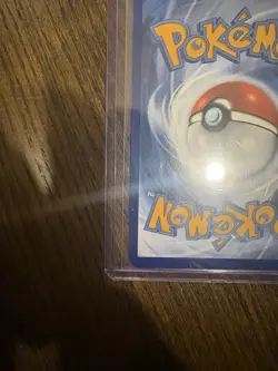 Pokemon TCG Squawkabilly EX Paldea Evolved Card 169/193 Sv02 - Image 5