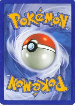 Quilava 51/100 Sandstorm Uncommon LP Pokemon TCG - Image 2